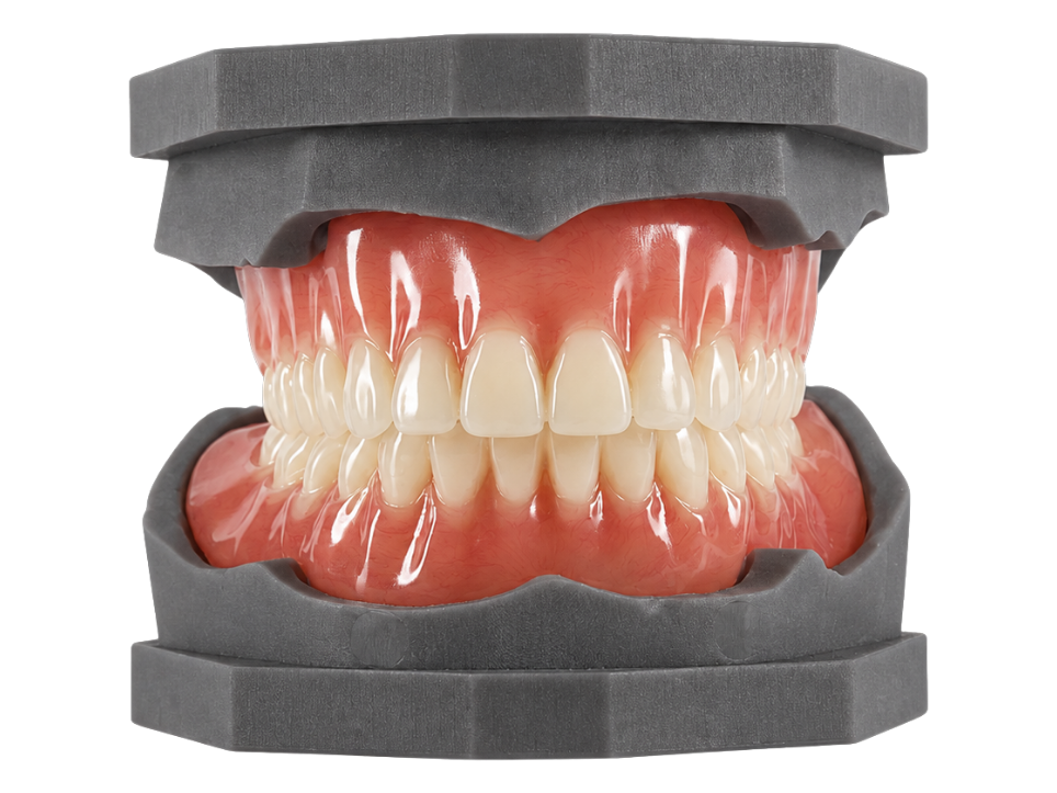 A complete denture on a stone model